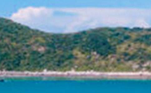 描写窗外景色的句子