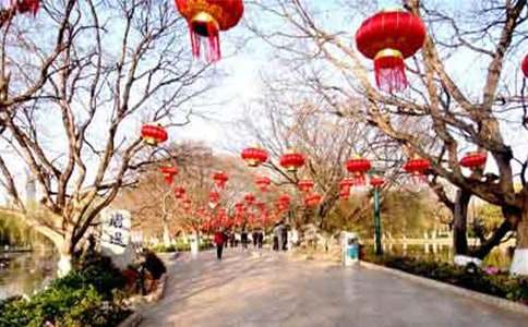 写中国传统节日的作文（精选52篇）