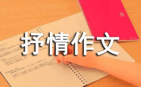 【实用】借物抒情作文33篇