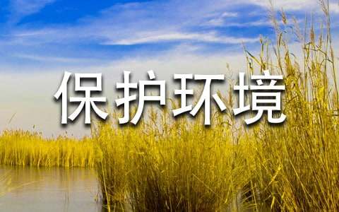 保护环境的作文(精选5篇)