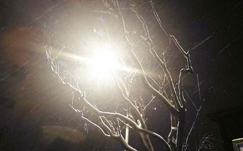 二年级下雪日记（通用35篇）
