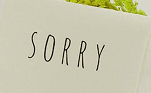 最诚恳向别人道歉的句子100句