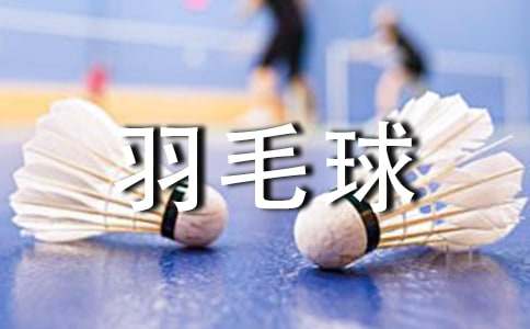 打羽毛球日记(合集15篇)
