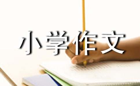 小鸭子历险记小学作文（精选20篇）