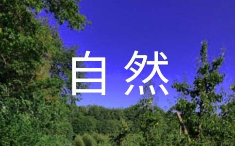 让真情自然流露作文600字（通用40篇）