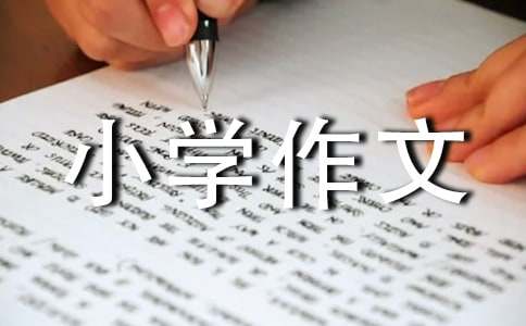 小学作文200字（通用71篇）