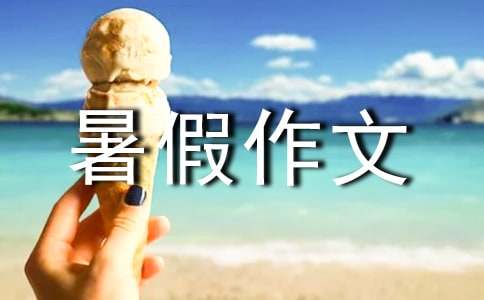 暑假作文范文600字（精选40篇）
