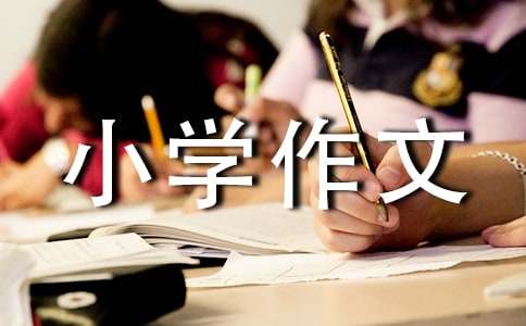 懂你小学作文（通用105篇）