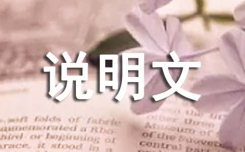 说明文的说明方法举例