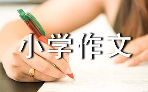 油菜花小学作文15篇