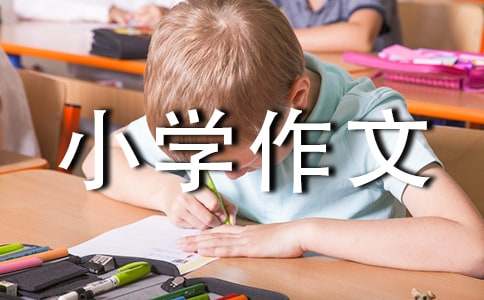 介绍一种事物小学作文（通用32篇）