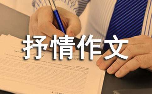 关于借物抒情作文4篇