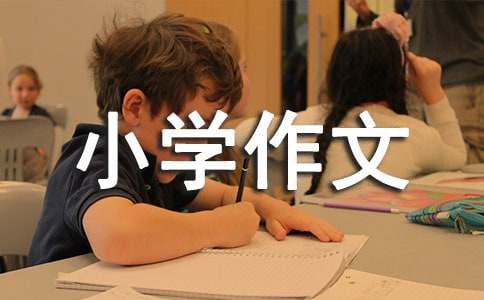 精选优秀小学作文800字42篇