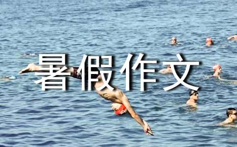 暑假作文300字3篇