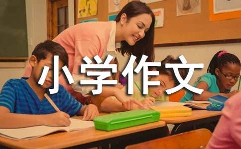 我的心爱之物小学作文400字（精选26篇）
