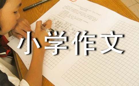 小学作文300字（通用53篇）