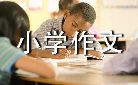 我变成了什么小学作文（通用41篇）