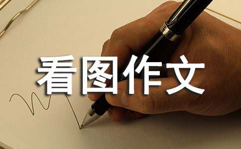小鸭子得救了看图作文（通用55篇）