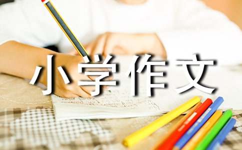 神奇的龙宫洞小学作文（通用24篇）