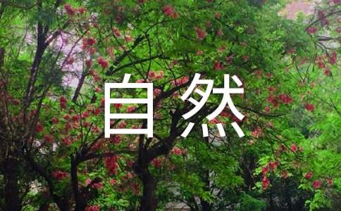 关于感受大自然作文（精选51篇）