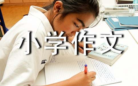 【精选】小学作文400字（通用36篇）