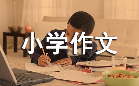 铺满金色巴掌的水泥道小学作文（精选30篇）