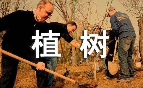 植树造林的好处作文（精选18篇）