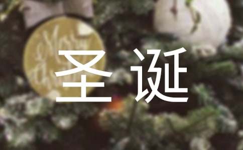 圣诞节英语作文(20篇)