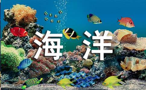 走向海洋作文（通用26篇）