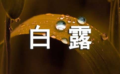 白露节气的谚语