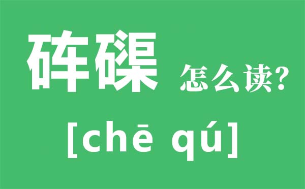 砗磲怎么读拼音是什么 砗磲是什么 砗磲的功效与作用