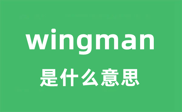 wingman是什么意思 wingman怎么读？