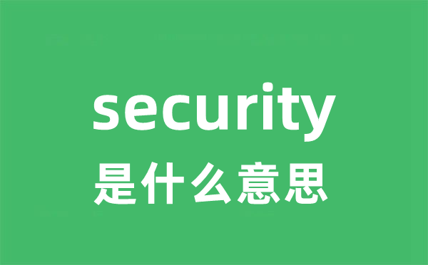 security是什么意思 security怎么读 中文翻译是什么？