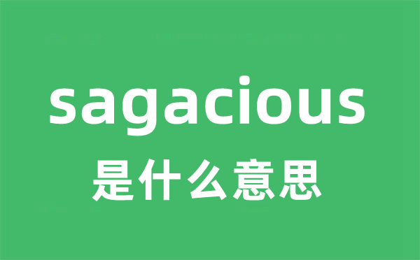 sagacious是什么意思 sagacious怎么读 中文翻译是什么？