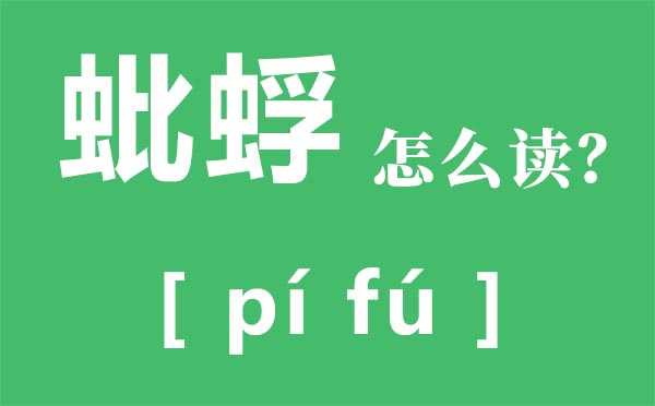 蚍蜉怎么读拼音是什么 蚍蜉是什么 蚍蜉撼树什么意思？