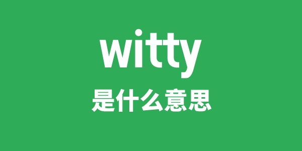 witty是什么意思 witty怎么读 中文翻译是什么