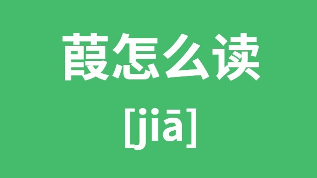 葭怎么读 葭的拼音 葭字是什么意思？