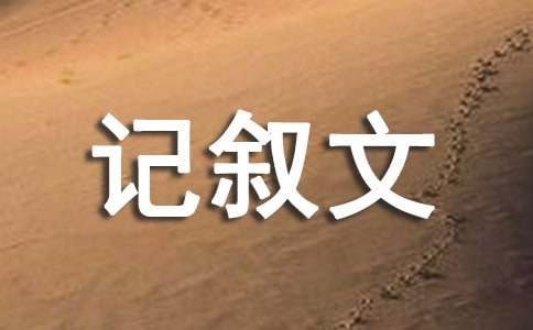 目光记叙文作文600字（精选15篇）