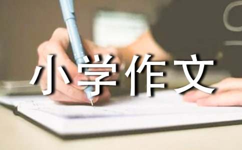 我和孙悟空过一天小学作文400字（通用60篇）
