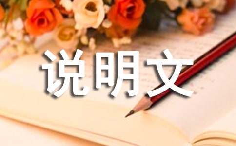 小动物的说明文400字（通用28篇）
