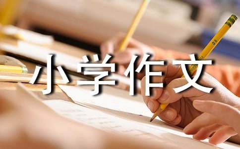 这儿真美小学作文（通用41篇）
