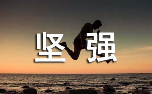 坚强的后盾作文（精选25篇）