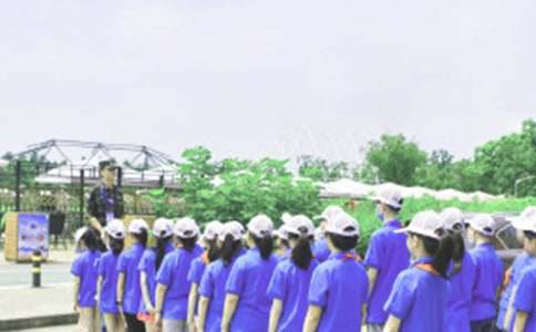 初一英语作文：夏令营Summer Camp（精选6篇）