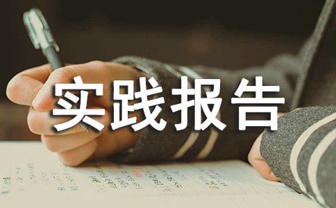 有关高中生社会实践报告（精选10篇）