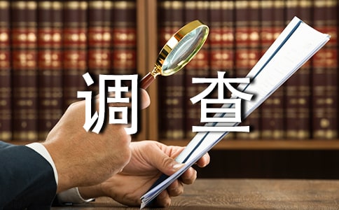 【精品】调查报告范文10篇
