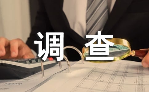有关调查的报告（精选10篇）