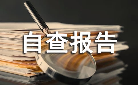 作风建设工作自查报告
