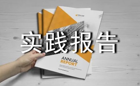 关于实践报告（精选5篇）