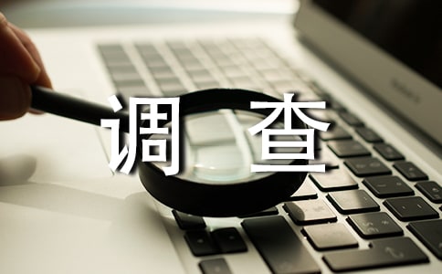 满意度调查报告15篇