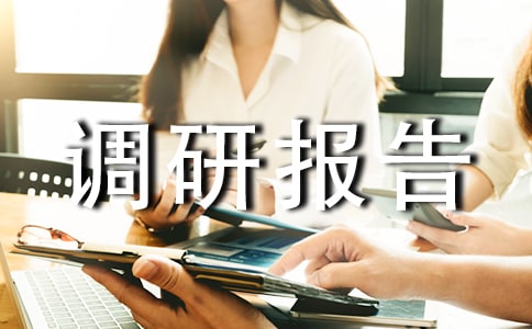 品牌调研报告